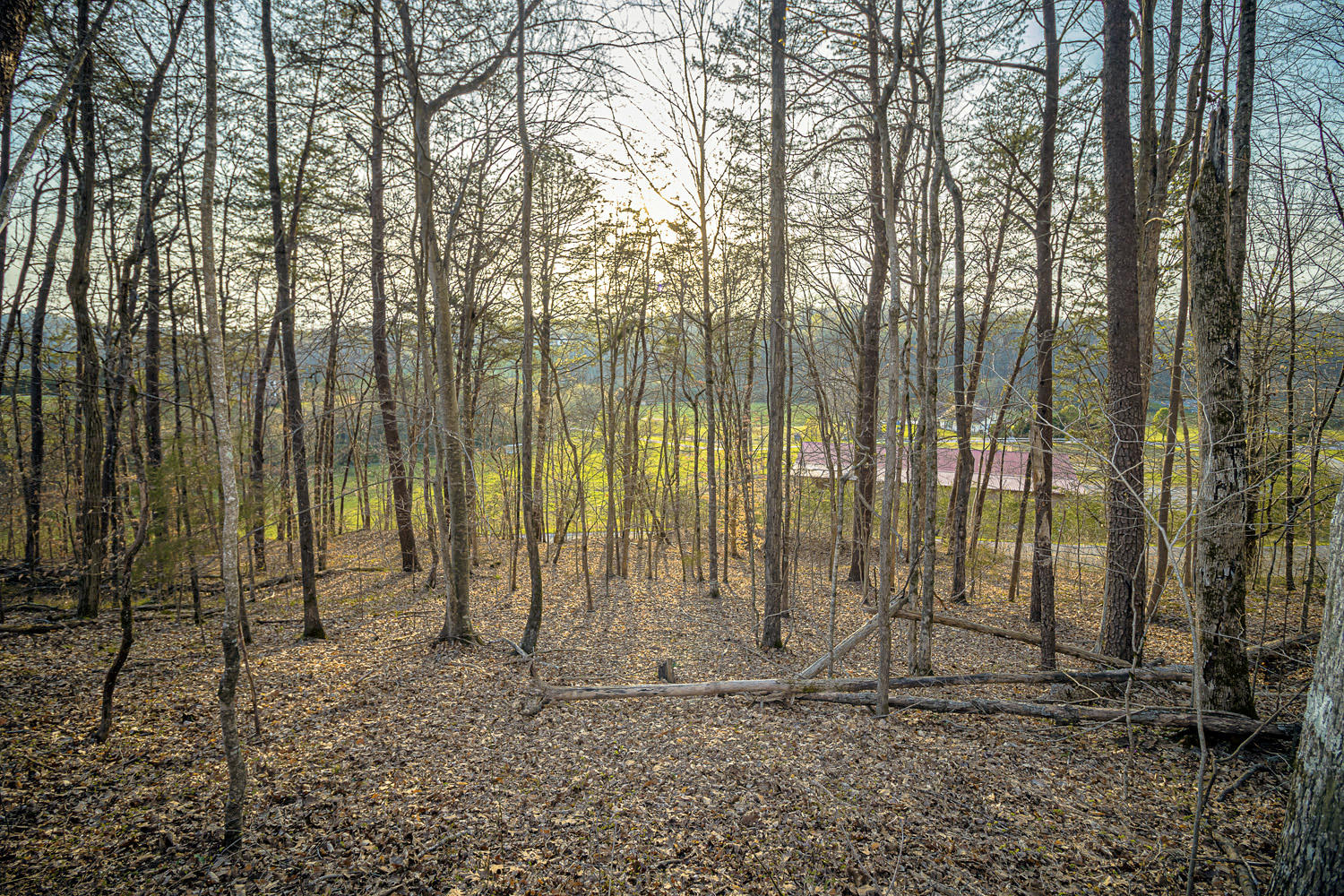 Dupont Road Seymour, TN 37865 - Photo 15 of 19 DupontRd_13