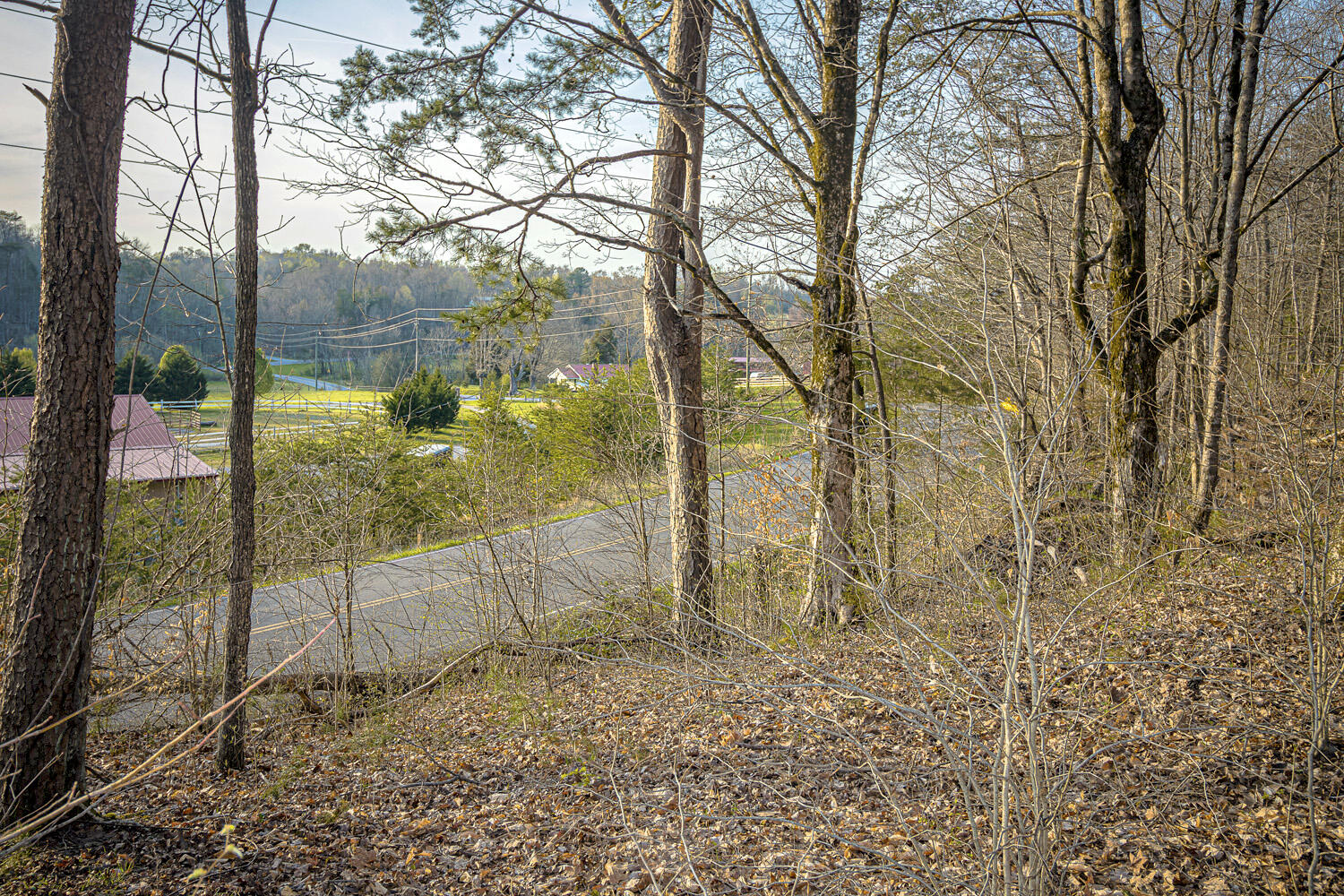 Dupont Road Seymour, TN 37865 - Photo 16 of 19 DupontRd_14