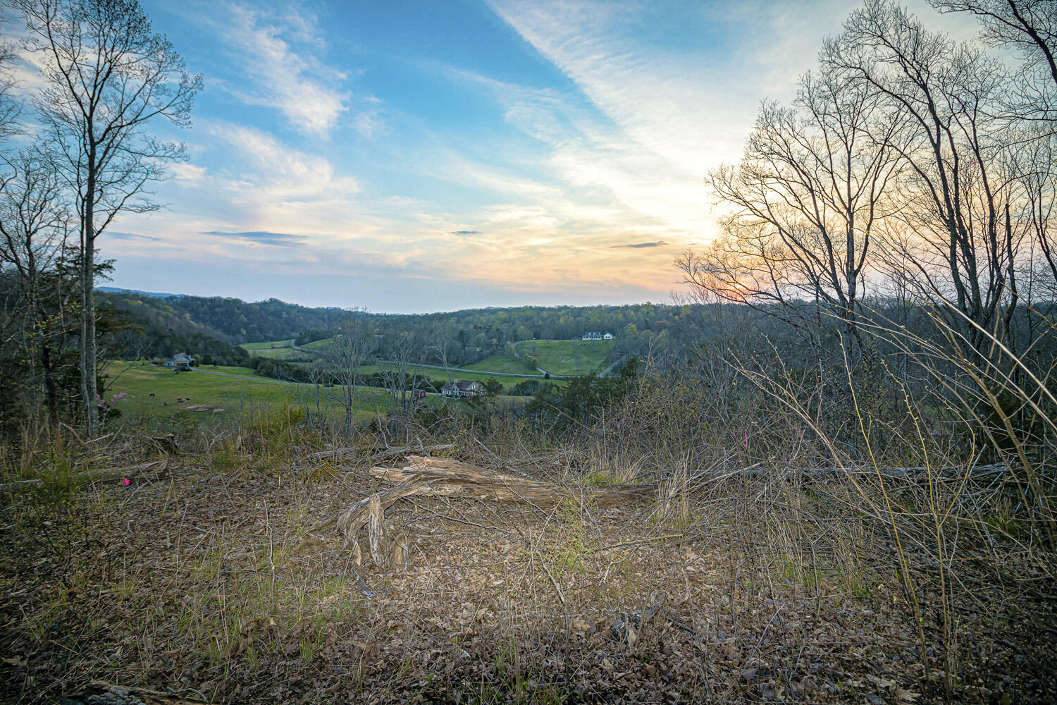 Dupont Road Seymour, TN 37865 - Photo 17 of 19 DupontRd_15
