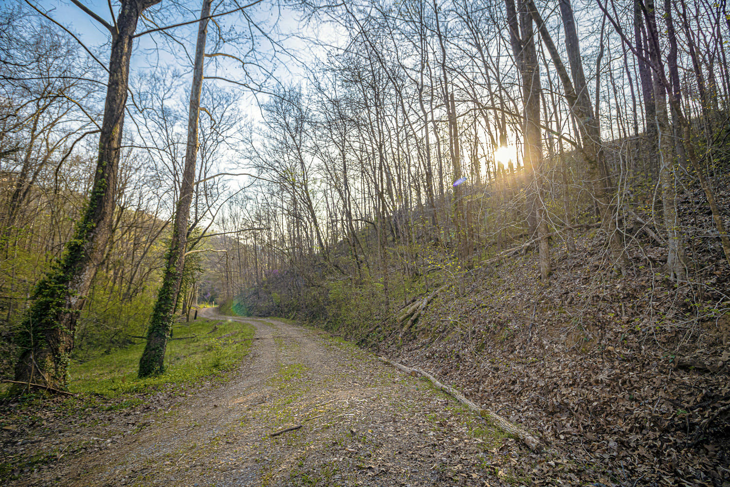 Dupont Road Seymour, TN 37865 - Photo 3 of 19 DupontRd_04 SPRING