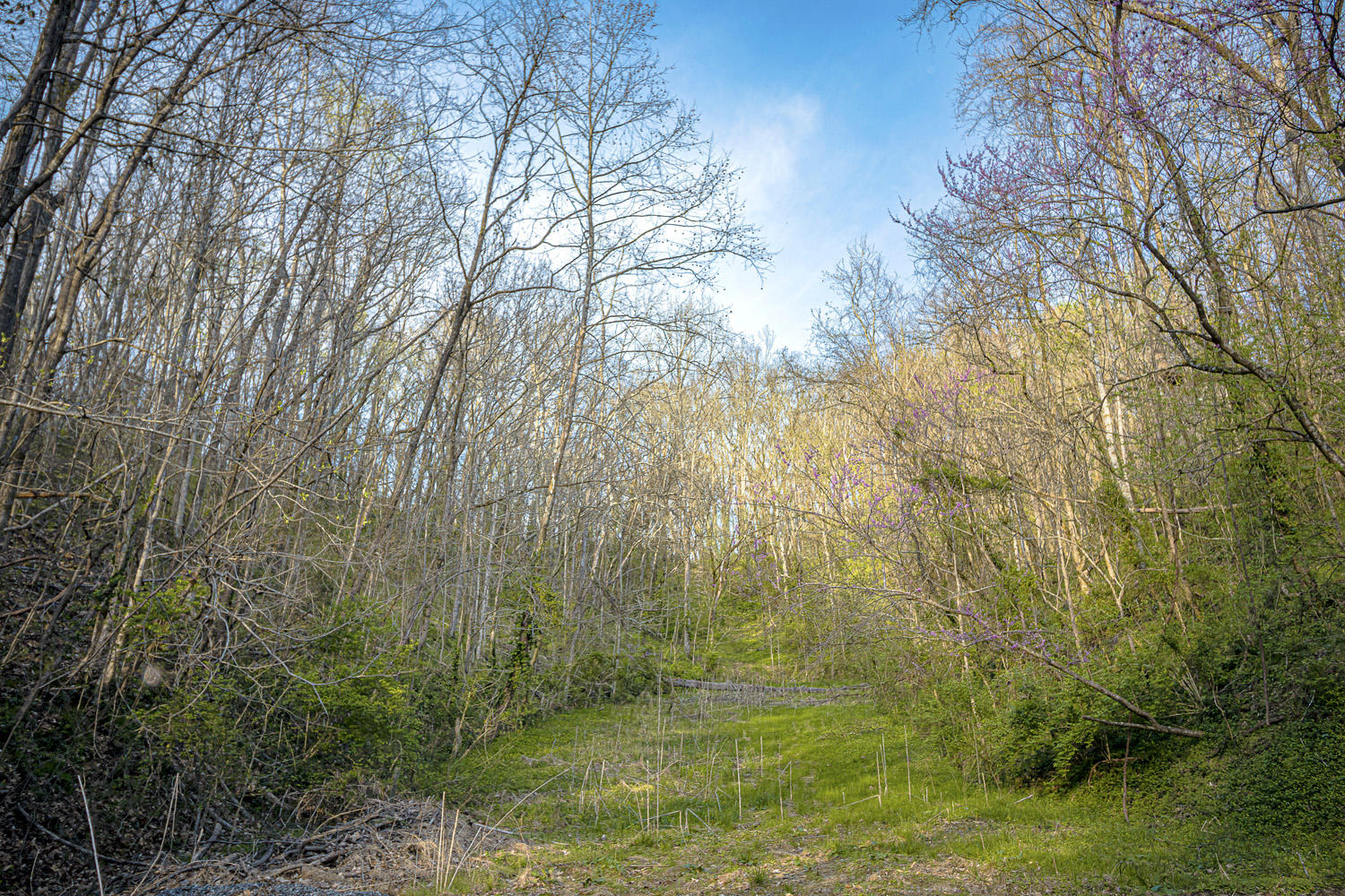 Dupont Road Seymour, TN 37865 - Photo 5 of 19 DupontRd_03