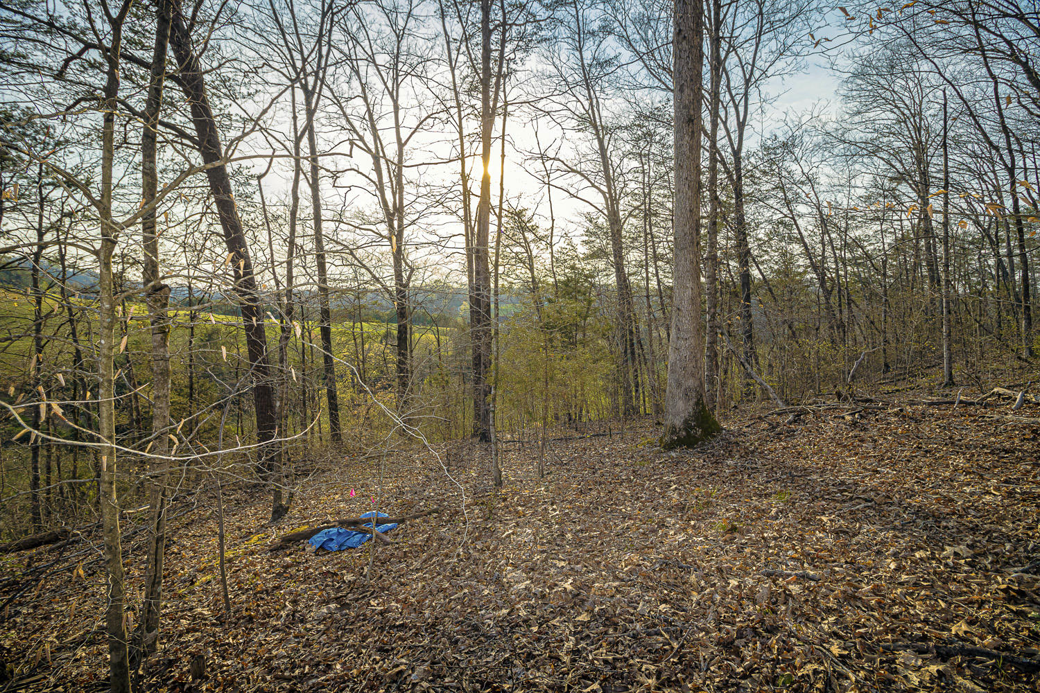 Dupont Road Seymour, TN 37865 - Photo 7 of 19 DupontRd_05