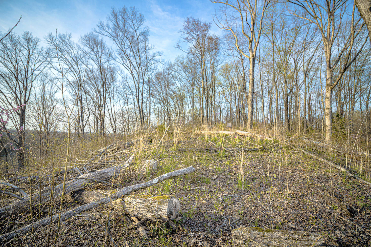 Dupont Road Seymour, TN 37865 - Photo 8 of 19 DupontRd_06