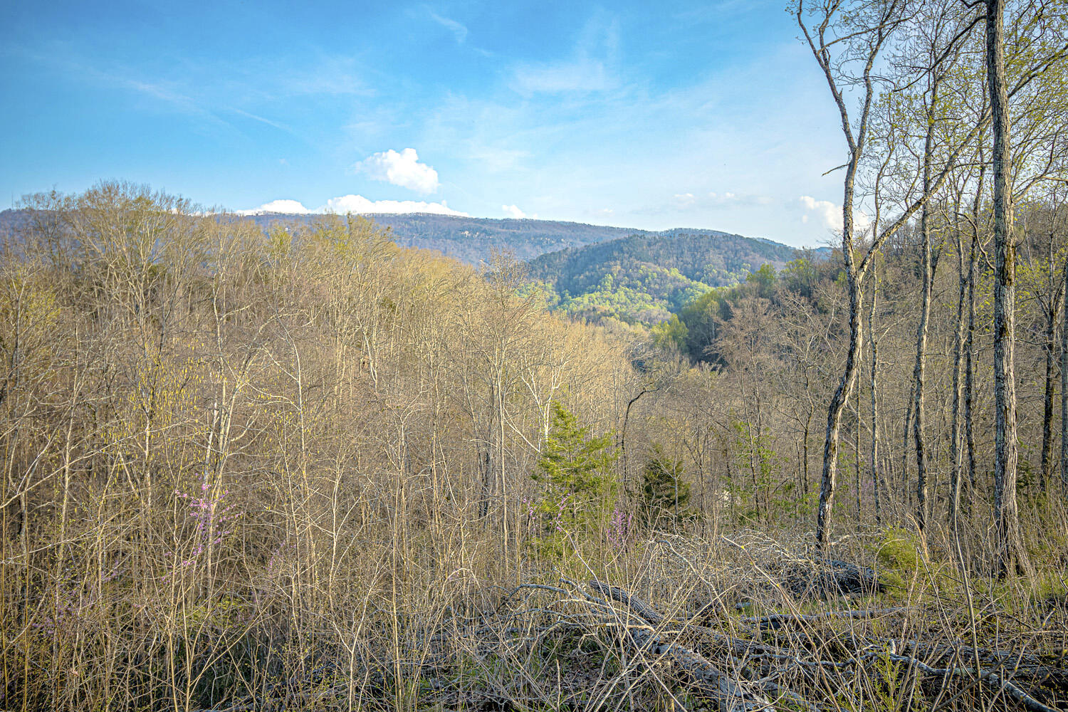 Dupont Road Seymour, TN 37865 - Photo 10 of 19 DupontRd_08