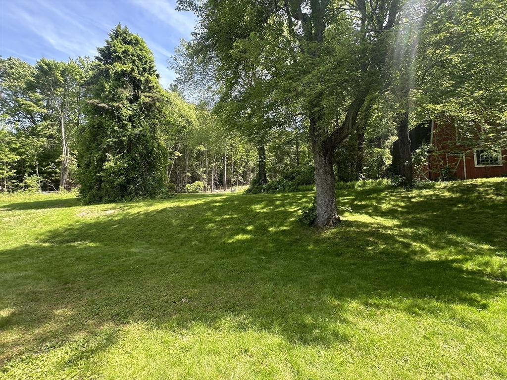 189 Scantic Road Hampden, MA 01036 - Photo 21 of 42 a view of a field with a tree