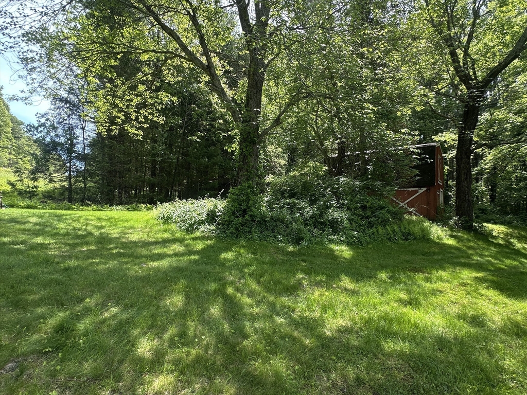 189 Scantic Road Hampden, MA 01036 - Photo 24 of 42 a view of green field with trees in the background