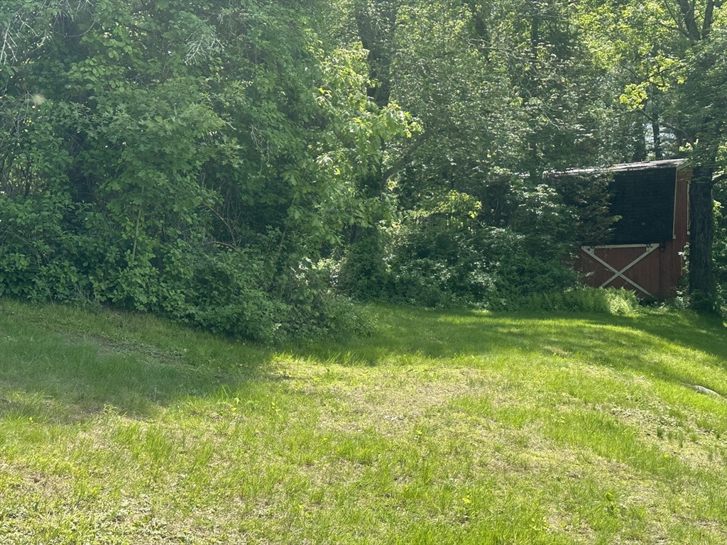 189 Scantic Road Hampden, MA 01036 - Photo 26 of 42 a view of a yard with a trees