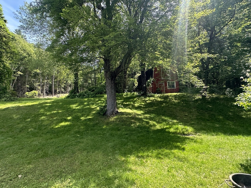189 Scantic Road Hampden, MA 01036 - Photo 28 of 42 a view of a tree in a yard