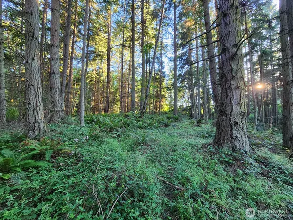 $217,000 | 1664 Lancaster Road, Freeland, WA 98249
