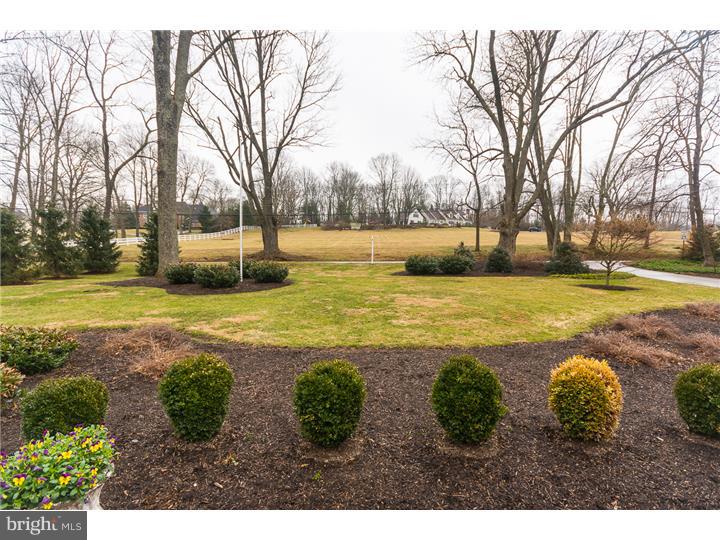1017 South Leopard Road Berwyn, PA 19312 - Photo 19 of 22 Front Yard
