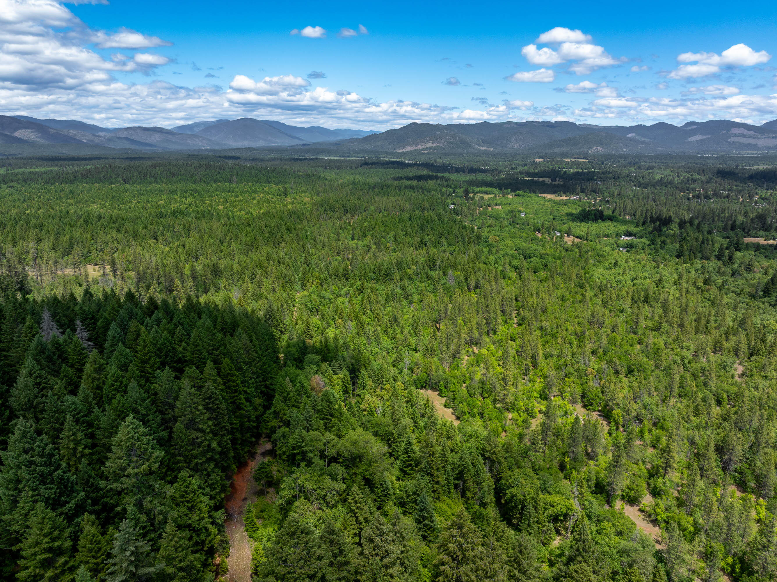 525 Sherier Road Cave Junction, OR 97523 - Photo 11 of 20 DRONE (2 of 9)