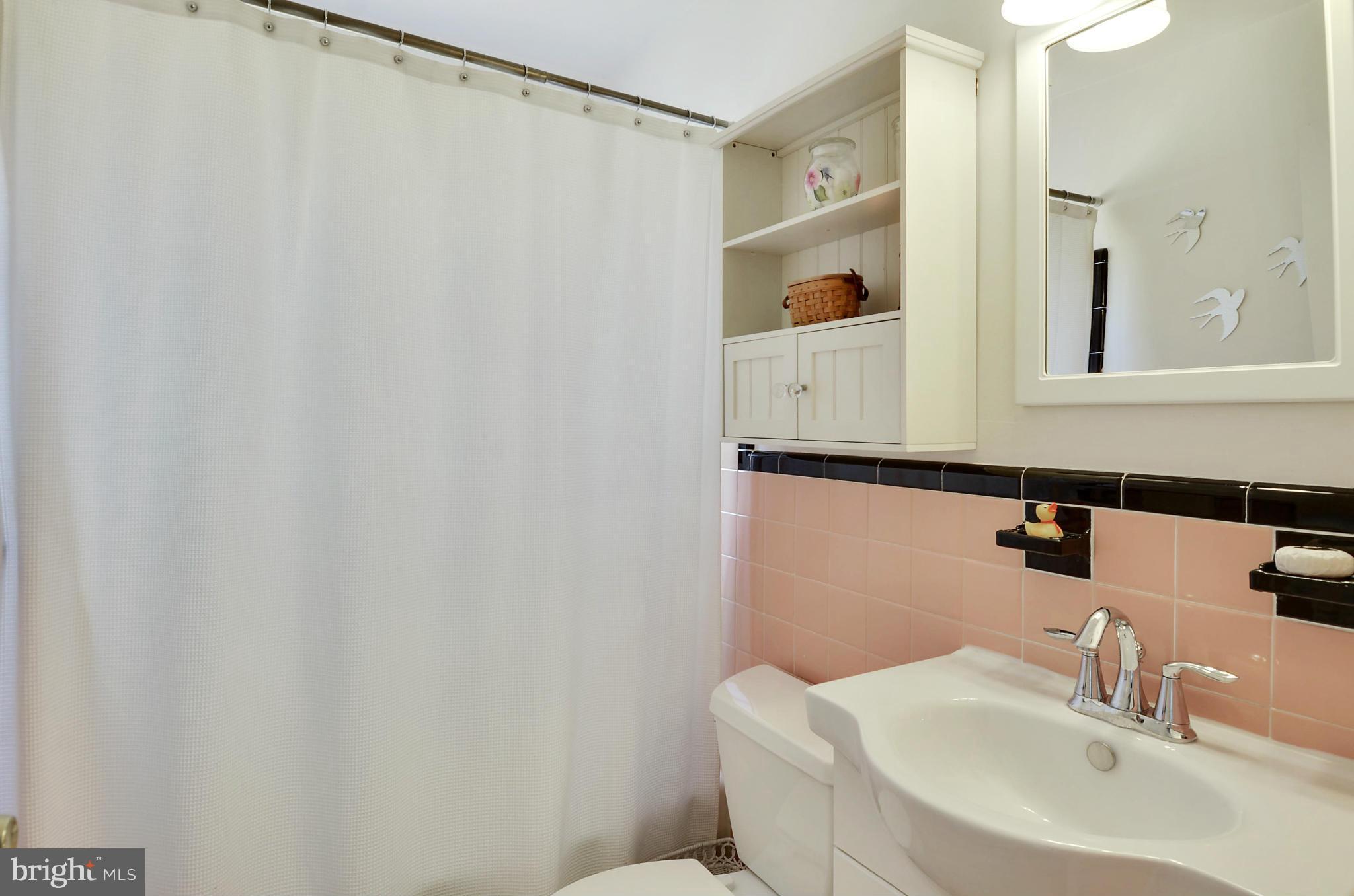 5912 Craig Street Springfield, VA 22150 - Photo 10 of 24 a bathroom with a sink and a mirror