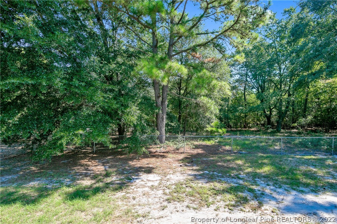 922 Magnolia Church Road Stedman, NC 28391 - Photo 48 of 49 a big yard with lots of green space and deers