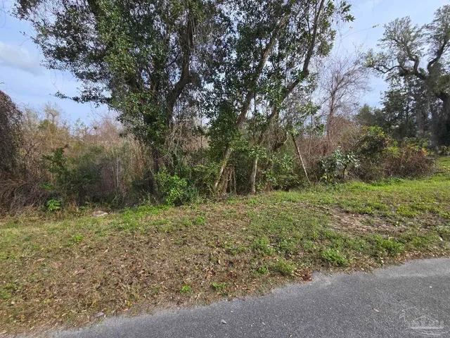 a big yard with lots of green space and house in the back