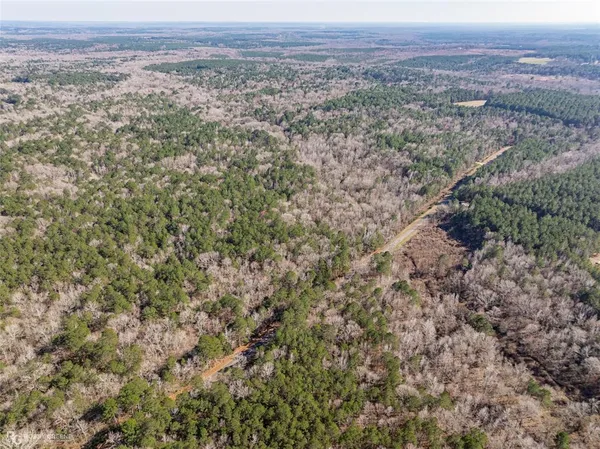 a view of a big yard with lots of bushes