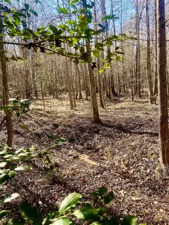 a view of a backyard of the house