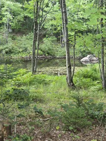 $69,900 | Lot12 River Road, Unit LOT 12, Sumner, ME 04292