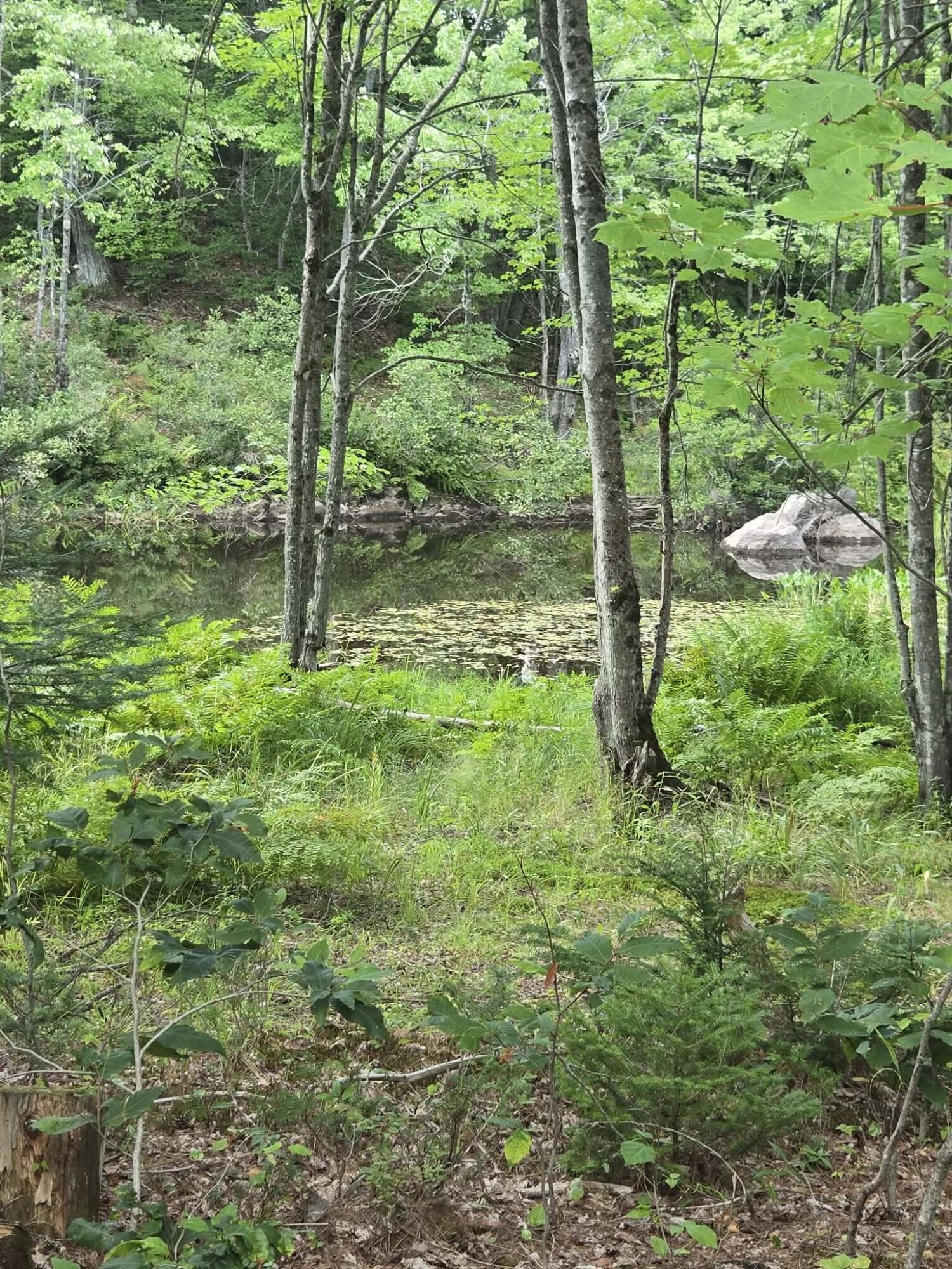 Lot12 River Road, Unit LOT 12 Sumner, ME 04292 - Photo 1 of 16 2b03e3a9-c8d4-4540-812c-7d53ea61dda7