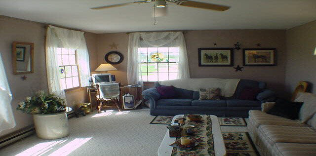 16955 Hartman Road Davis, IL 61019 - Photo 3 of 5 a living room with furniture and a window
