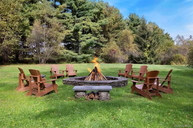 a view of a yard with plants and trees