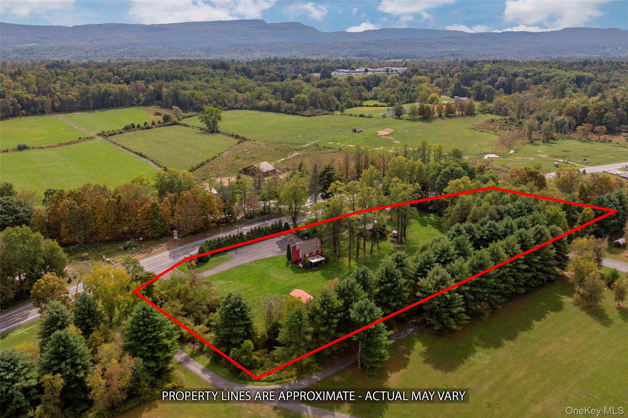 4494-4496 Highway 209 Stone Ridge, NY 12484 - Photo 44 of 48 an aerial view of a house with a garden and lake view