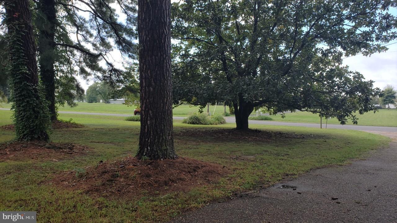 16248 Millers Wharf Road Ridge, MD 20680 - Photo 2 of 41 Peaceful &Tranquil