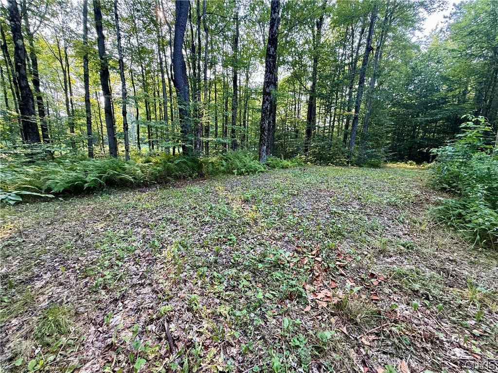 11470 River Road Florence, NY 13316 - Photo 4 of 13 Standing at gravel pad facing the road