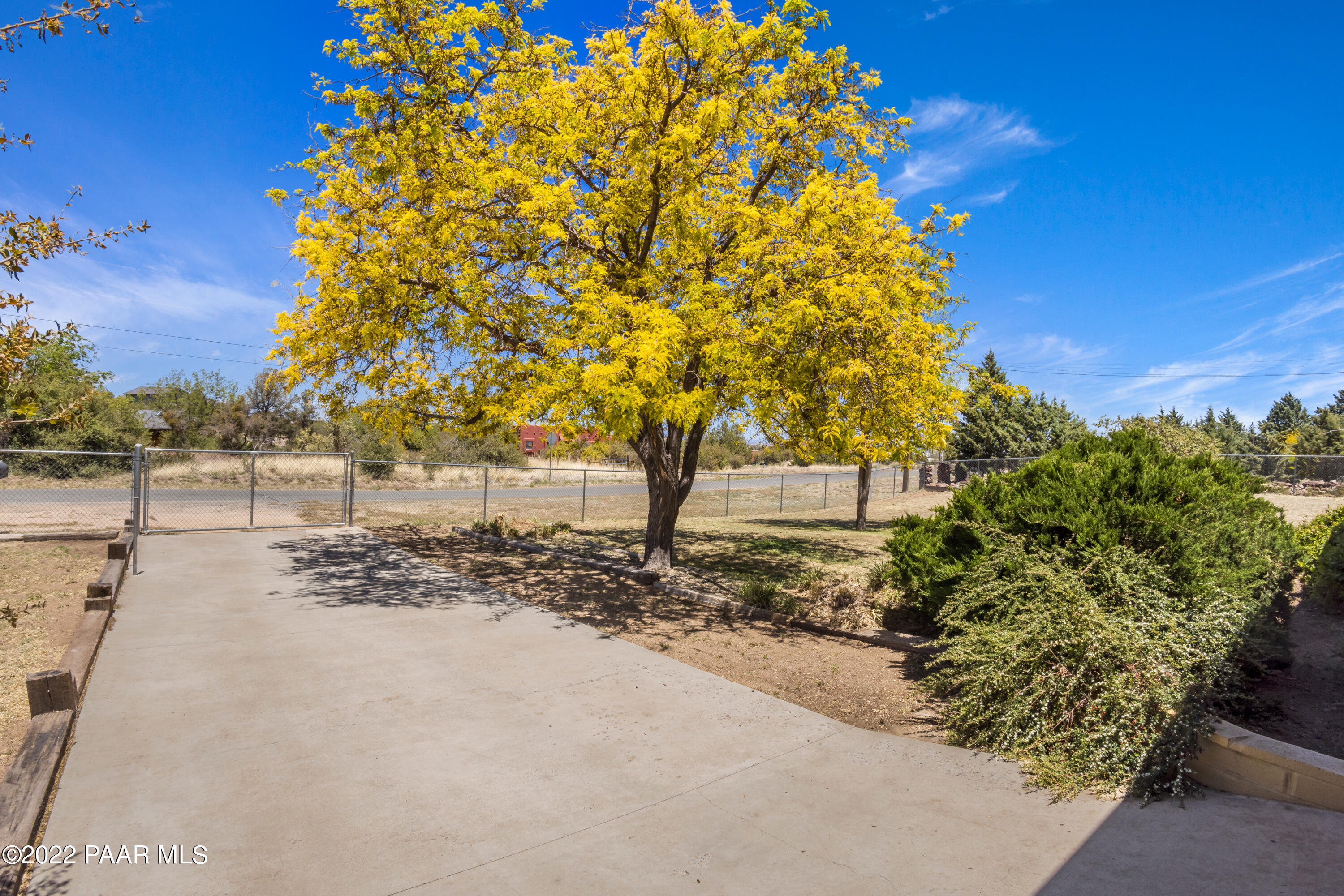 1481 West Cliff Rose Road Prescott, AZ 86305 - Photo 4 of 38 a view of a yard with plants and trees