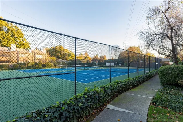 a view of a park with large trees
