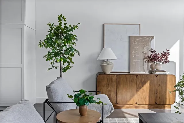 a potted plant sitting on top of a kitchen table