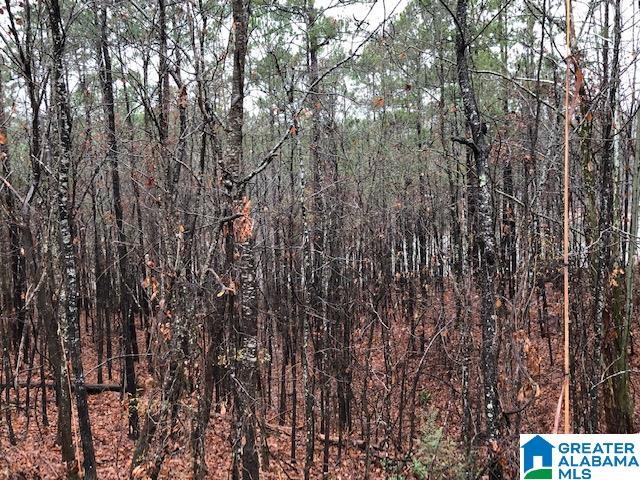 0 Lakeside Lane, Unit 31 Alpine, AL 35014 - Photo 13 of 42