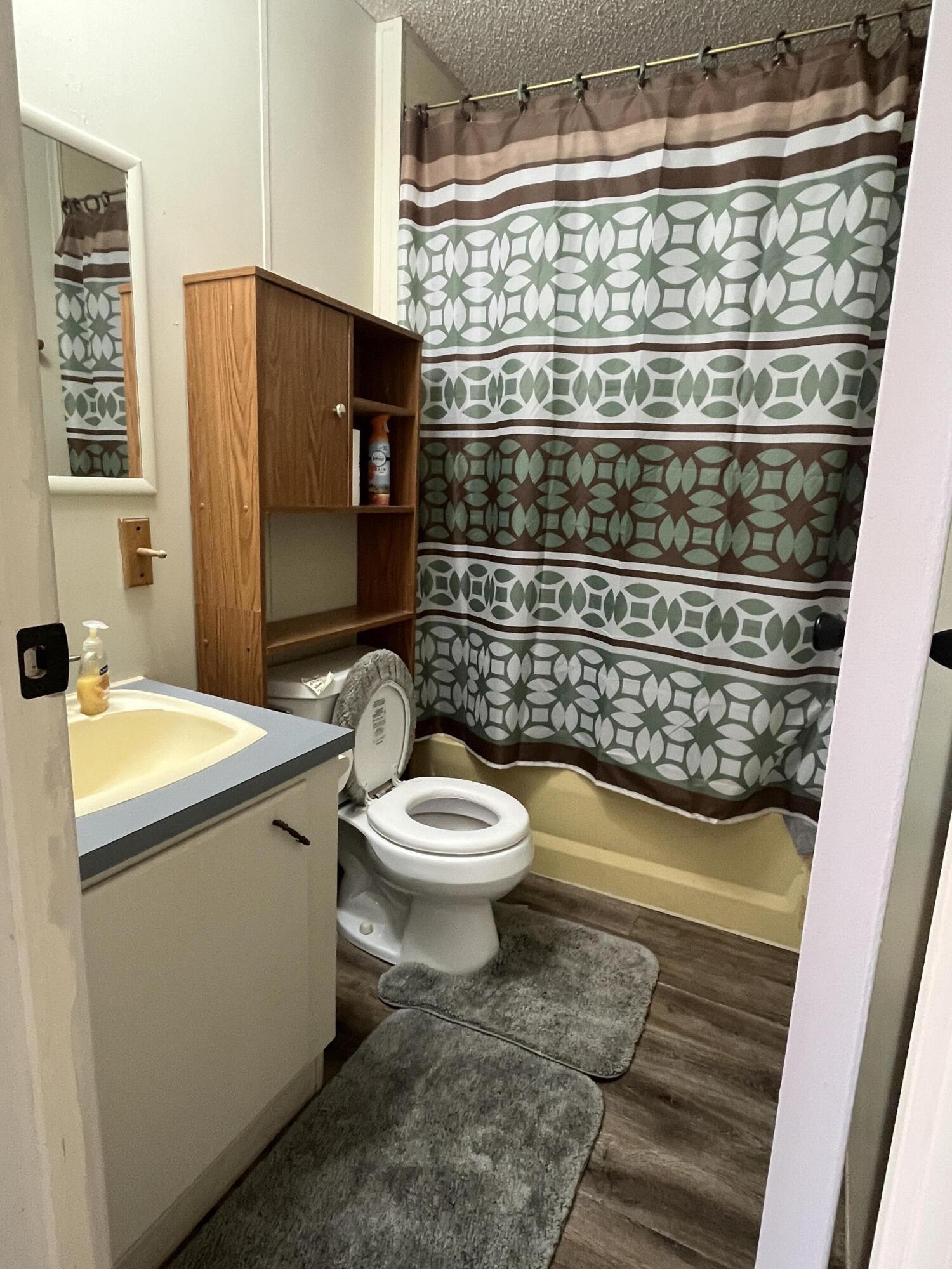 1572 Ivy Branch Drive Blue Ridge, VA 24064 - Photo 12 of 13 Hall bathroom