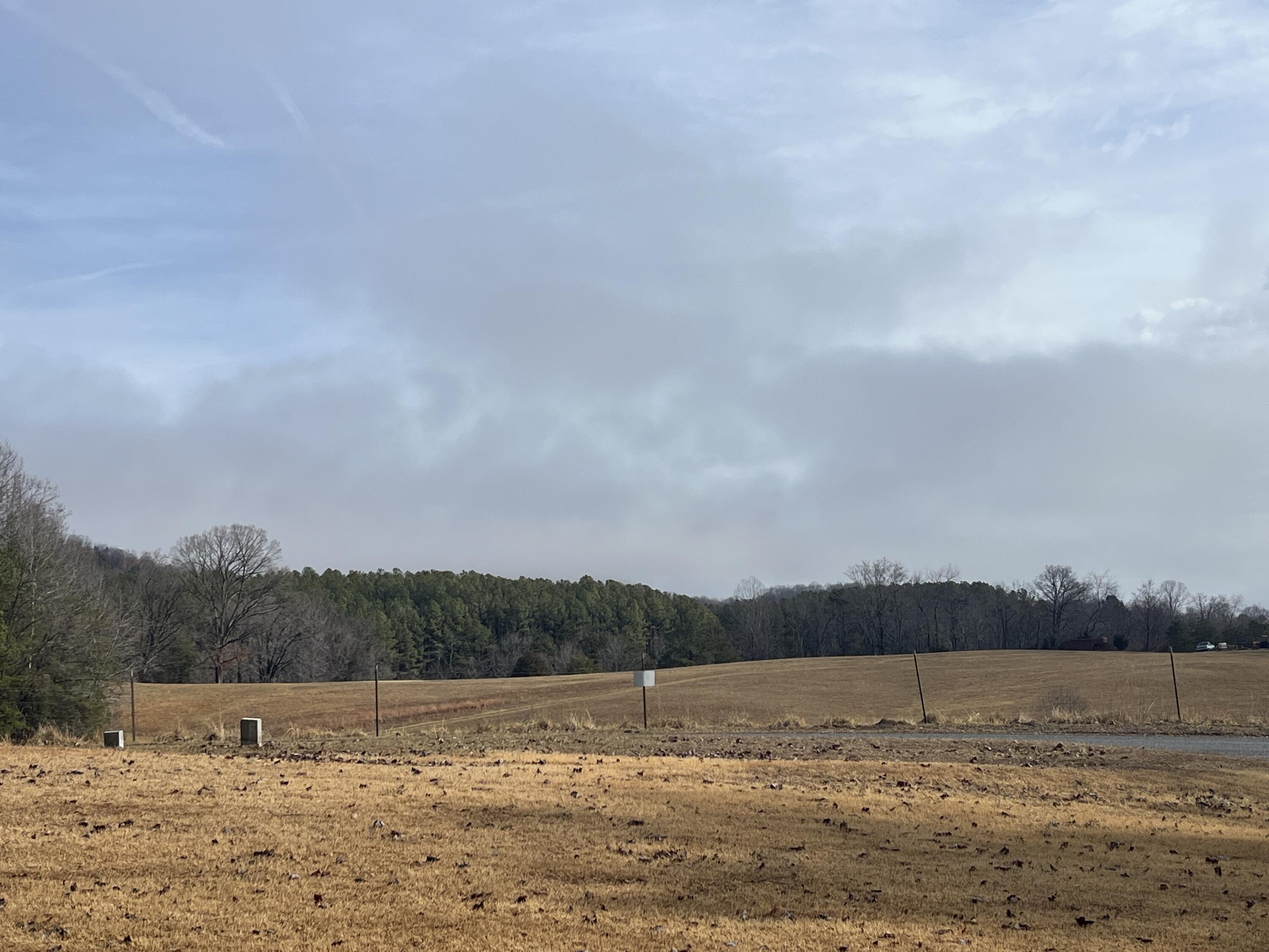 1572 Ivy Branch Drive Blue Ridge, VA 24064 - Photo 3 of 13 View from front