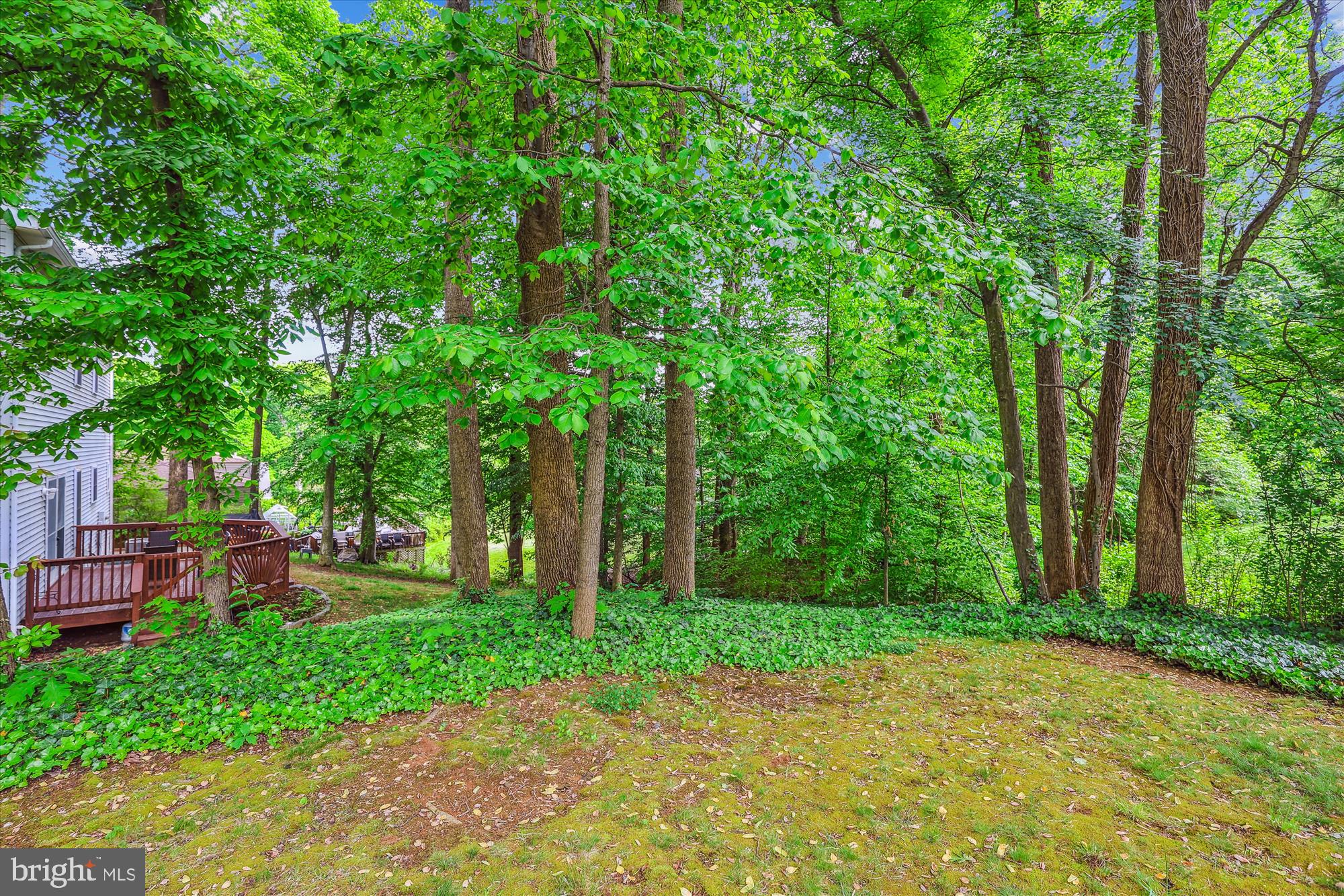 15895 Northgate Drive Dumfries, VA 22025 - Photo 31 of 39 Tree lined backyard