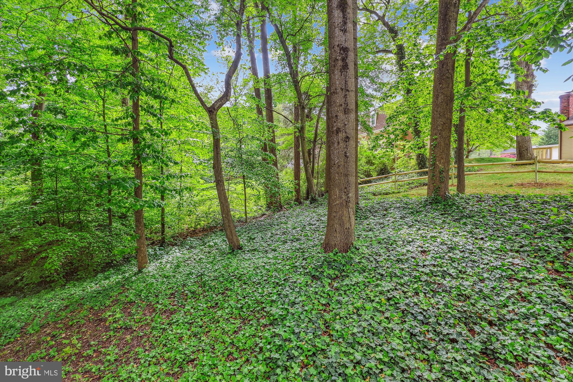 15895 Northgate Drive Dumfries, VA 22025 - Photo 32 of 39 Split rail fence recently installed