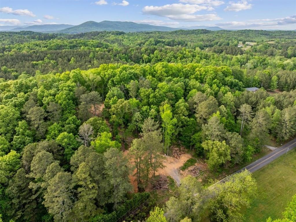 307 Moores Ferry Road Southwest Plainville, GA 30733 - Photo 11 of 14