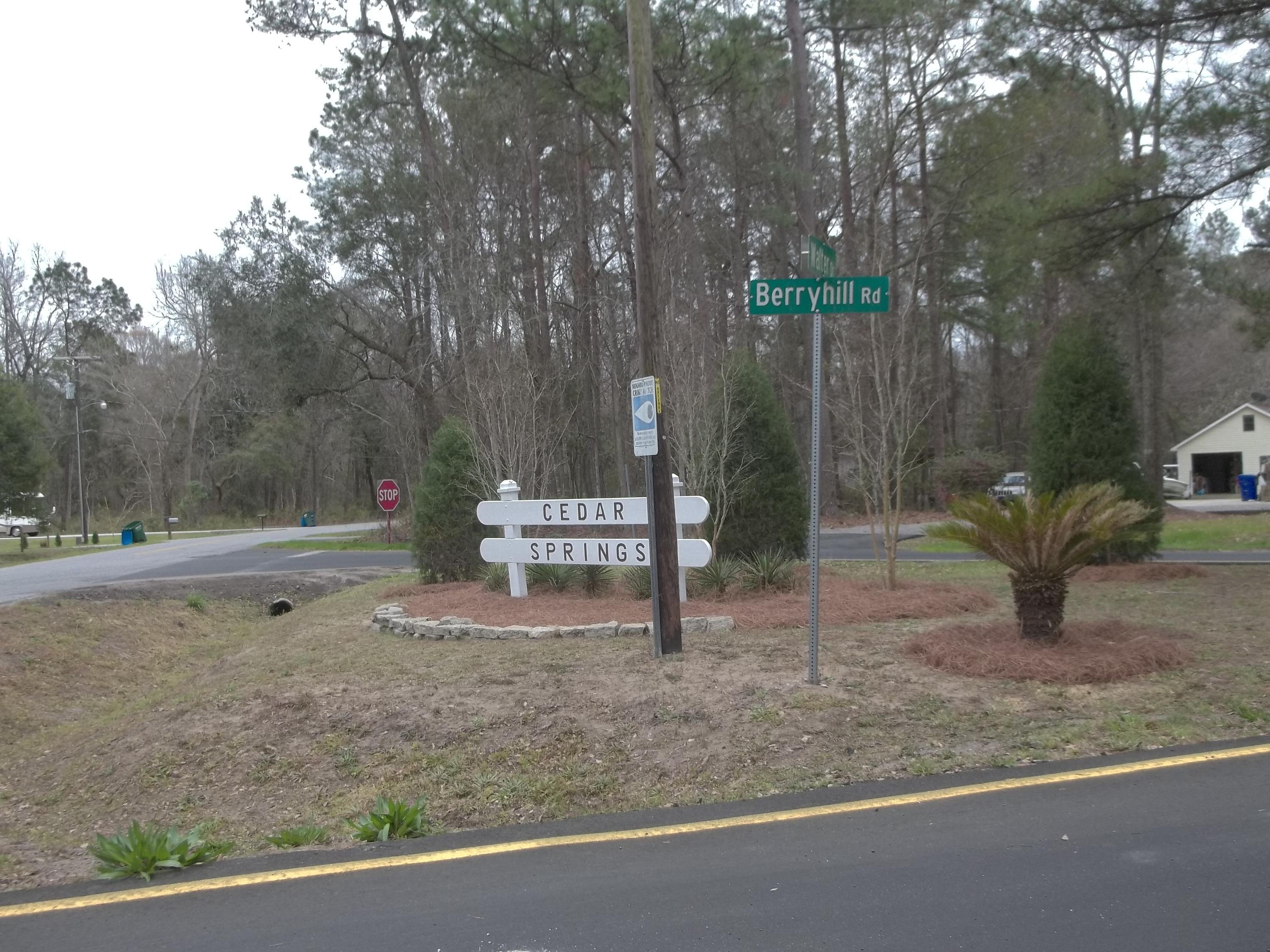 Lot 9 Berryhill Road Johns Island, SC 29455 - Photo 1 of 2 2017-01-07 13.16.12