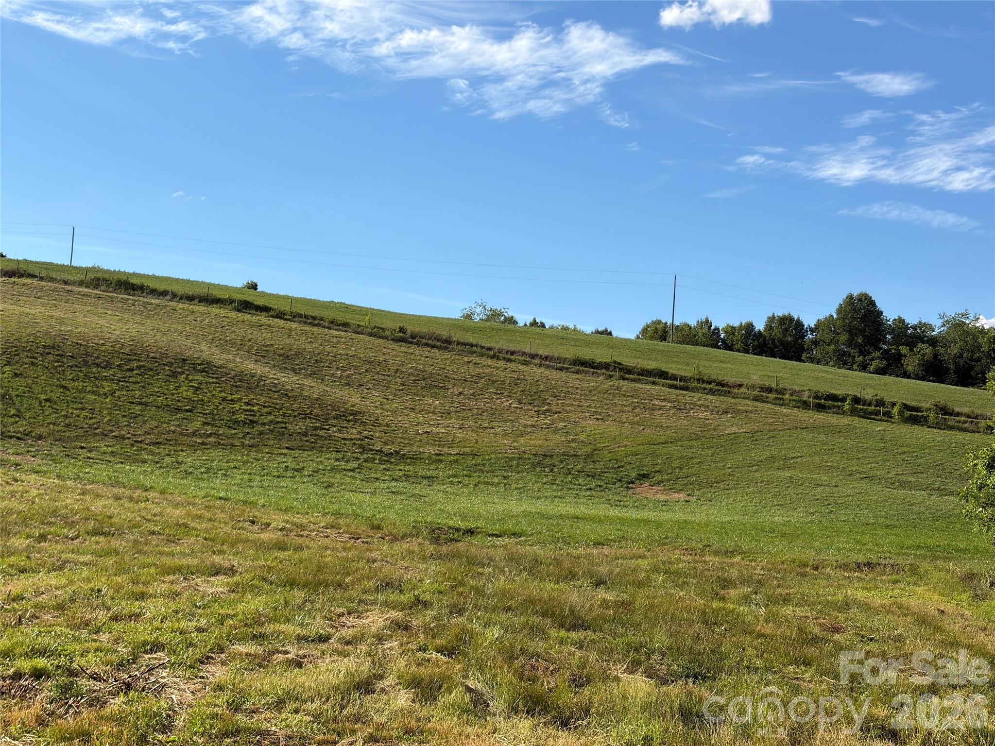 1779 Roundhill Church Road Traphill, NC 28685 - Photo 35 of 41
