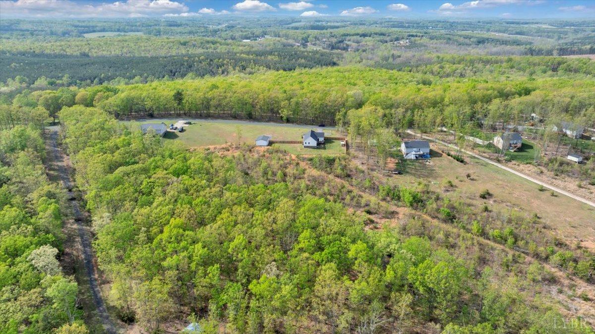 1400 Mountain Cut Road Appomattox, VA 24522 - Photo 44 of 55 a view of a lush green forest with lots of trees