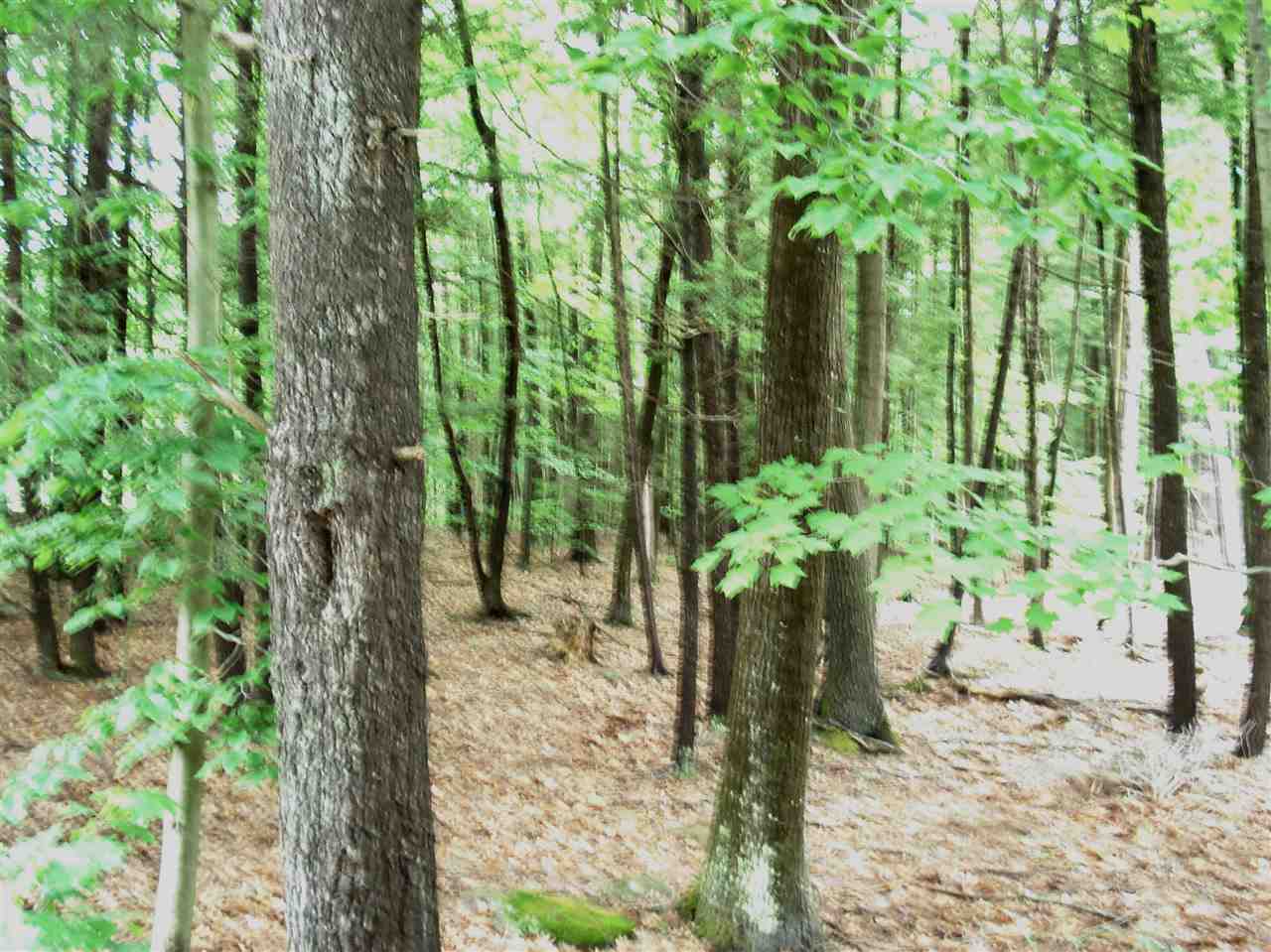 44 Robbins Road Wilton, NH 03086 - Photo 2 of 3