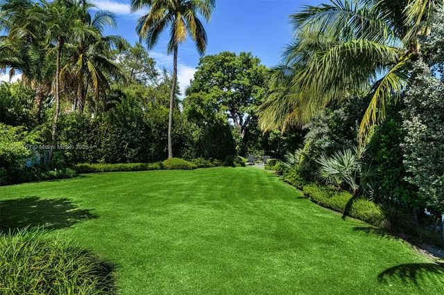a view of green field with a tree