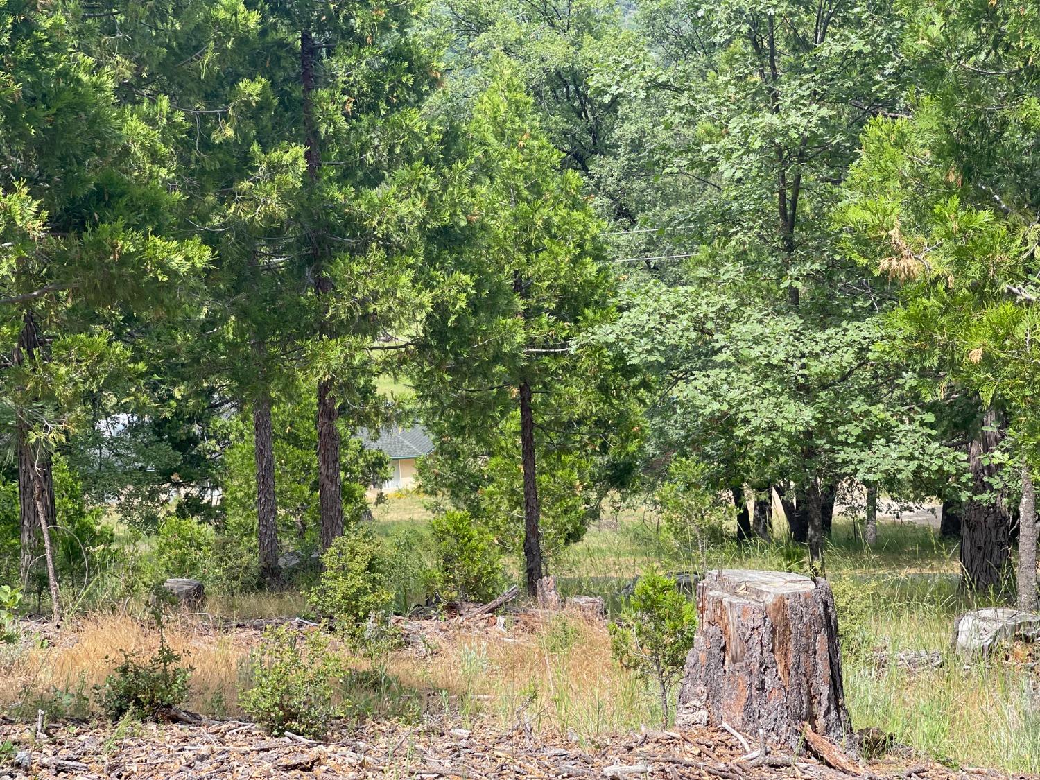 26 Timberview Road North Fork, CA 93643 - Photo 5 of 6 Gallery Image 5