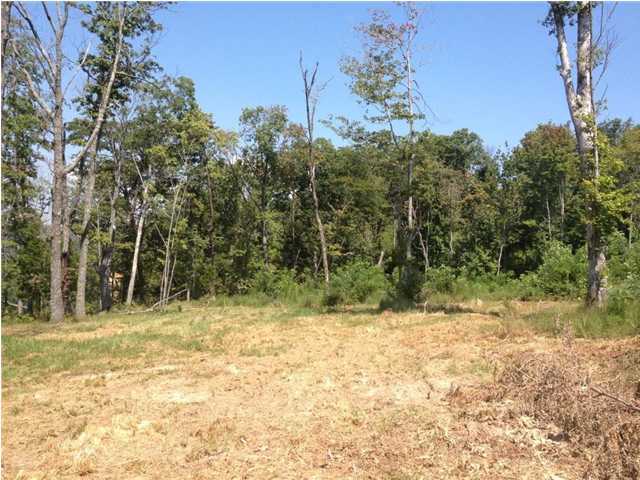 18 Jackson Point Road Sewanee, TN 37375 - Photo 3 of 5 Additional Photo