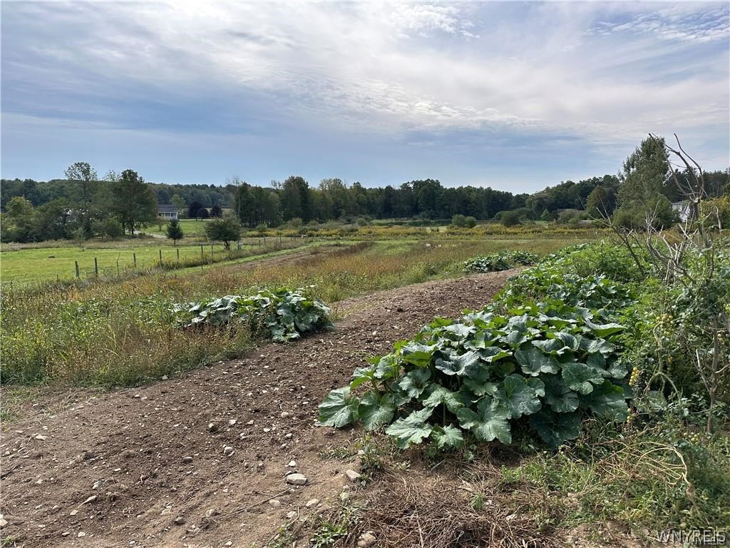 5516 Babbitt Road Pike, NY 14536 - Photo 32 of 32