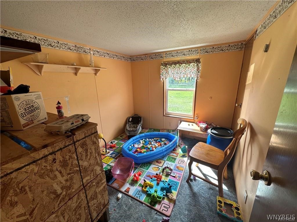 5516 Babbitt Road Pike, NY 14536 - Photo 9 of 32