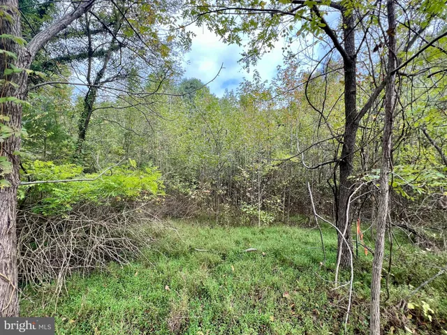 a view of yard with green space