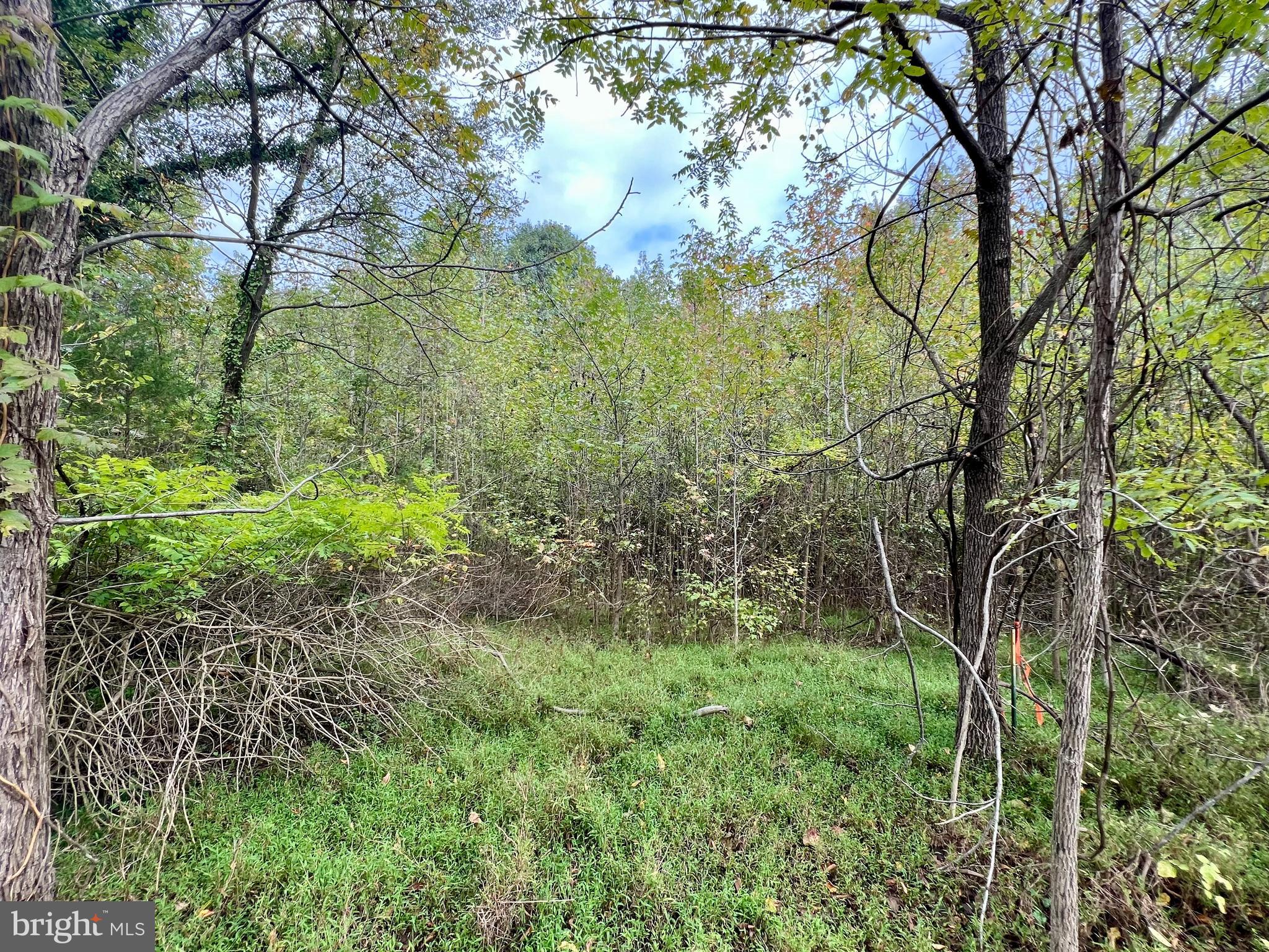 159 Boothhaven Lane Owings, MD 20736 - Photo 2 of 8 a view of yard with green space