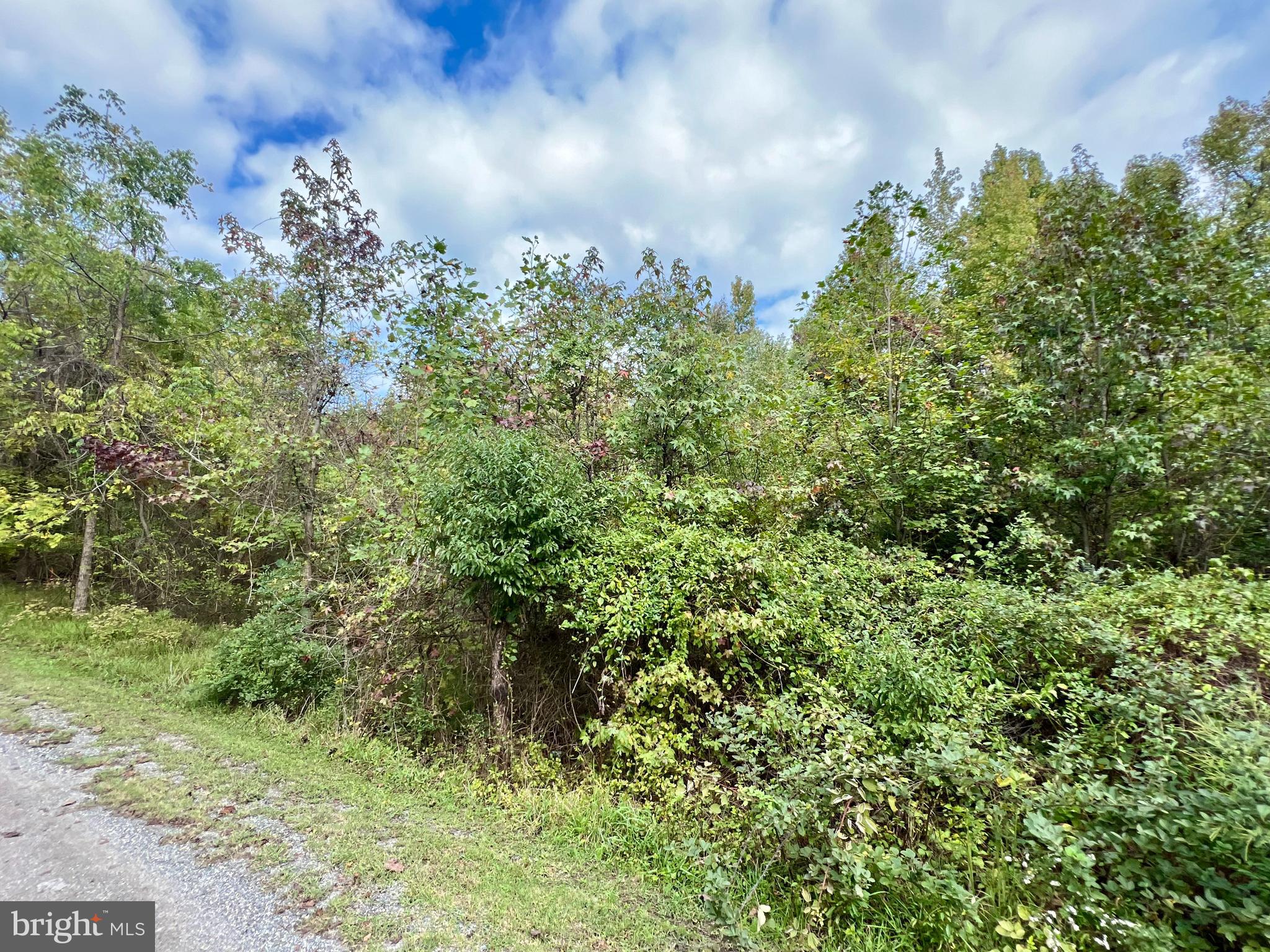 159 Boothhaven Lane Owings, MD 20736 - Photo 6 of 8 a view of a garden