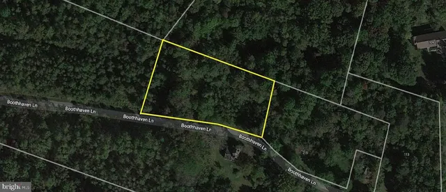 a terrace with lots of trees in the background