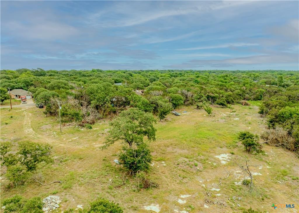 29 Artesian Drive Belton, TX 76513 - Photo 5 of 6 a backyard of a house with a yard